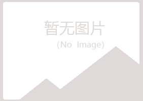 玉树县女孩会计有限公司